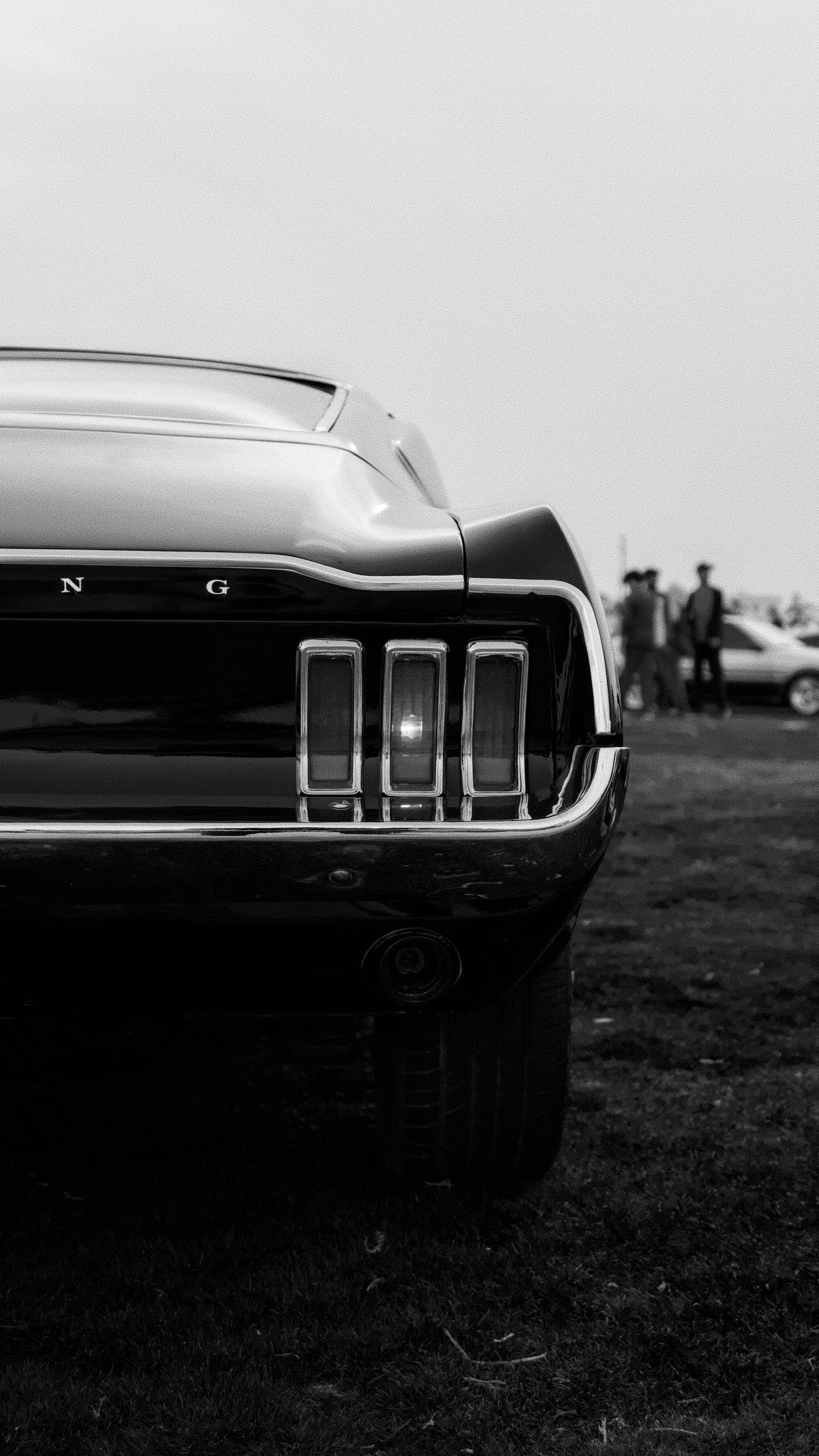 Cars on grass preview 1